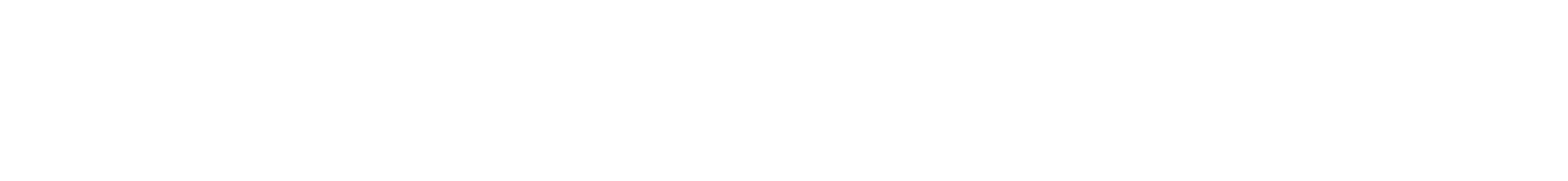WildRoom text logo